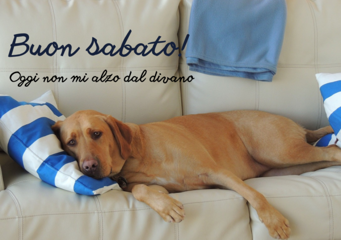 Buongiorno buon sabato 23 marzo 2024: frasi e immagini gratis da inviare via WhatsApp