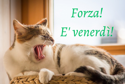 Buongiorno buon venerdì 8 marzo 2024: frasi e immagini gratis da inviare via WhatsApp