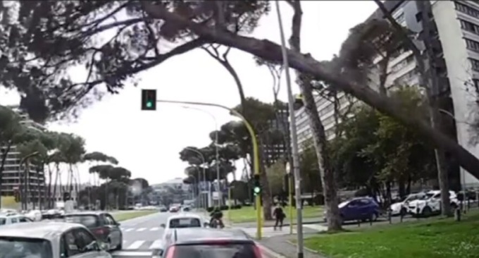 Roma, albero crolla addosso alle auto al semaforo: il video