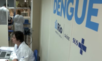 Allarme Dengue: in Brasile verso i 2 milioni di casi, si punta sulle zanzare modificate in laboratorio. Italia: "No allarme, ma prevenzione"