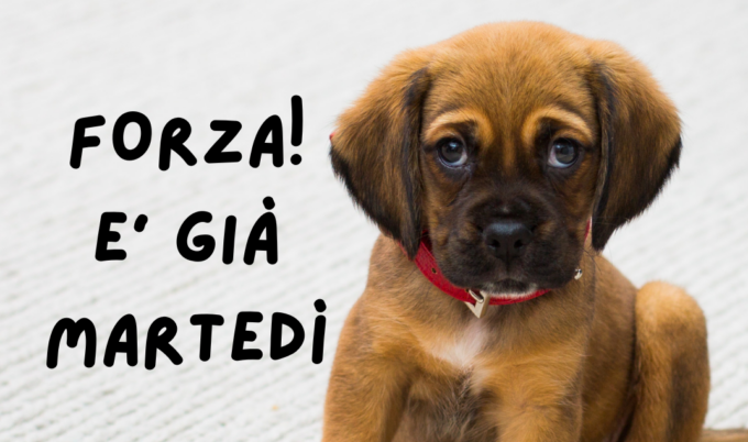 Buongiorno buon martedì 16 aprile 2024: frasi e immagini gratis da inviare via WhatsApp