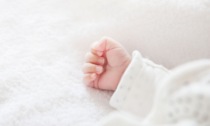 Neonata di 3 mesi morta, l'autopsia shock: denutrita e con segni di violenza