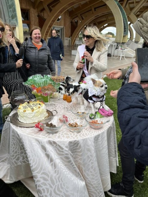 Invece che “sì” hanno detto “bau”. Il primo matrimonio tra cani in Italia: video