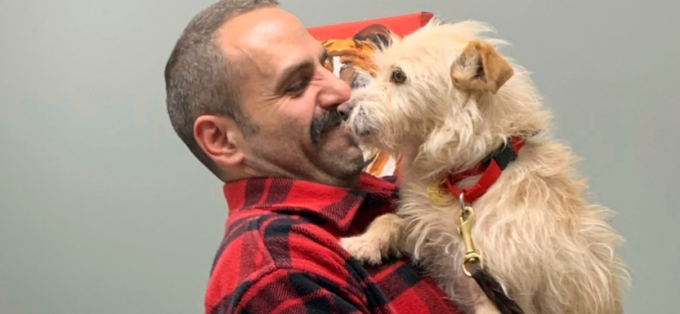 Cagnolina scomparsa da 9 mesi ritrovata a 4.000 chilometri da casa