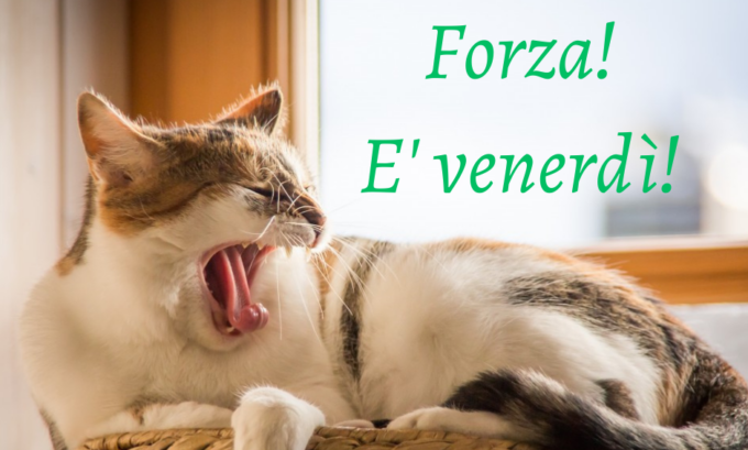 Buongiorno buon venerdì 10 maggio 2024: frasi e immagini gratis da inviare via WhatsApp