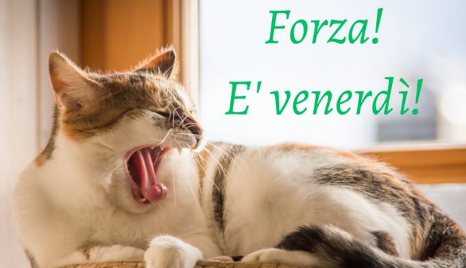 Buongiorno buon venerdì 31 maggio 2024: frasi e immagini gratis da inviare via WhatsApp