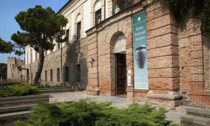 I musei da visitare gratis in Veneto domenica 5 maggio 2024
