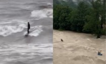 Maltempo in Veneto: mentre infuria la tempesta, lui fa surf sul Brenta. Il video