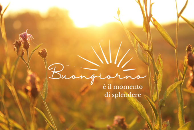 Buongiorno buon martedì 4 giugno 2024: frasi e immagini gratis da inviare via WhatsApp