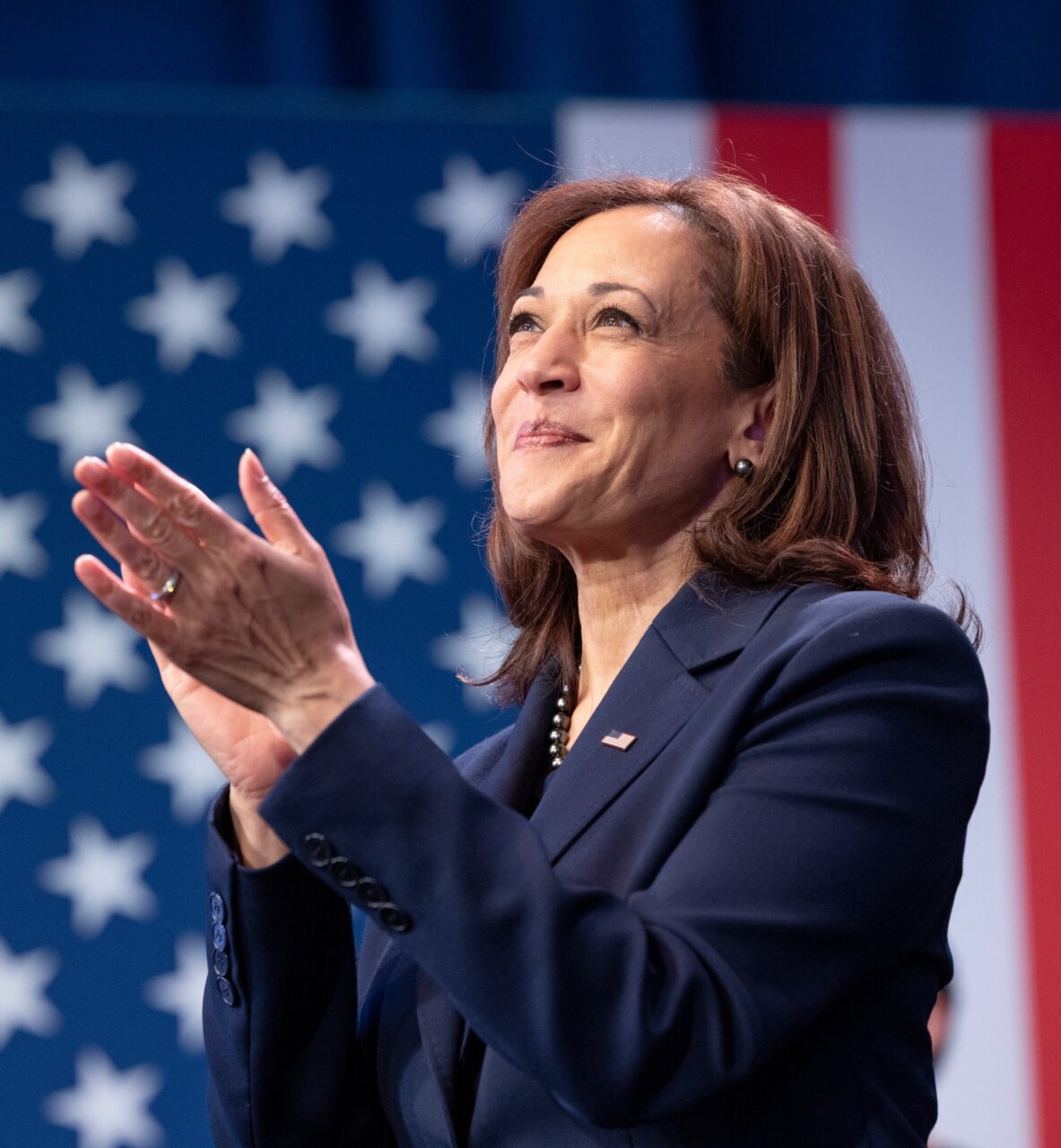 Kamala Harris, vice di Joe Biden