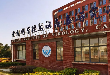 La biologa sul New York Times: “Covid dal laboratorio di Wuhan, incidente più costoso nella storia della scienza”