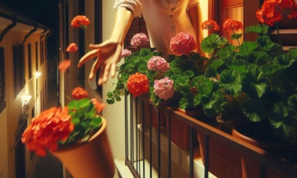 La banda dei ladri di bancomat fermata... da un vaso di fiori lanciato dal balcone