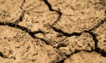 Disponibilità di acqua in calo, il 28% del territorio rischia la desertificazione