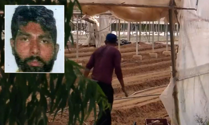 Morte del bracciante indiano Satnam “Navi” Singh: i vicini smentiscono la tesi della “leggerezza”