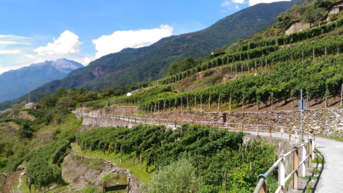La Via dei Terrazzamenti che attraversa la Valtellina