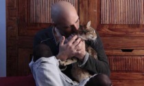 Il gattino lanciato da un ponte in Sardegna, simbolo della vigliaccheria umana: l'Irriverente commento di Simone Di Matteo