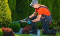 Per il verde di casa è bene scegliere un professionista