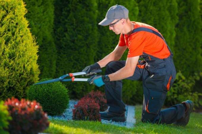 Per il verde di casa è bene scegliere un professionista