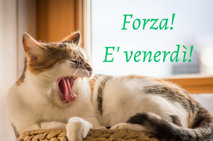 Buongiorno buon venerdì 26 luglio 2024: frasi e immagini gratis da inviare via WhatsApp