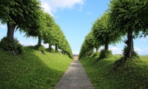 Il giardino di casa va progettato in anticipo