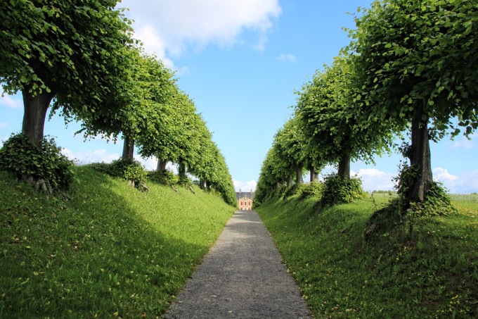Il giardino di casa va progettato in anticipo