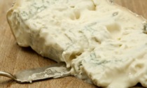 Listeria nel gorgonzola: i lotti a rischio ritirati dal mercato