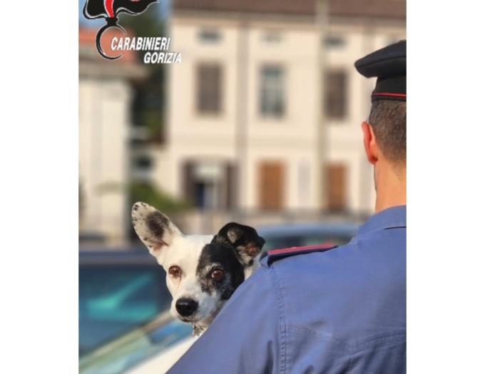 Chiudono il cane in auto sotto il sole e vanno a fare l’aperitivo