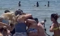 L'incredibile video della rissa tra donne in spiaggia per un lettino in prima fila