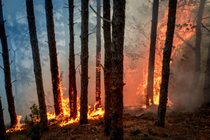Allerta incendi nei boschi della Lombardia: le zone più a rischio e cosa fare