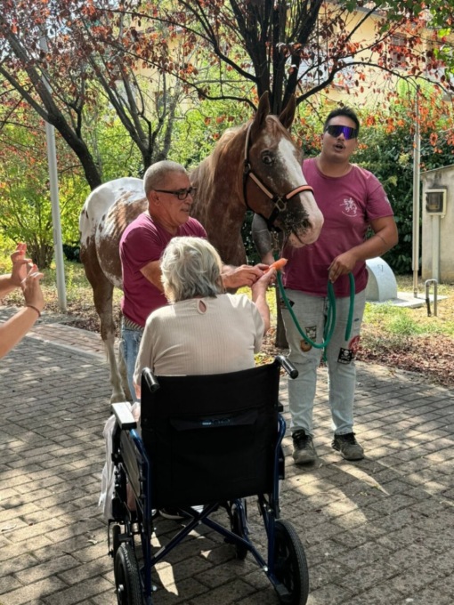 L’ultimo desiderio dell’80enne Aurora diventa realtà: “Vorrei accarezzare un cavallo”