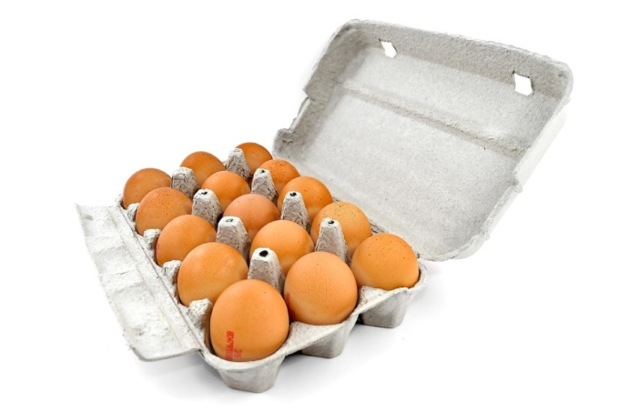 Salmonella e rischio microbiologico nelle uova, maxi richiamo: tutti i prodotti ritirati (e da non consumare)