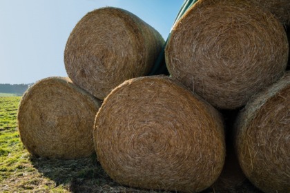 Agricoltore muore schiacciato da una balla di fieno da 800 chili