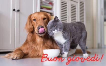 Buongiorno buon giovedì 5 settembre 2024: frasi e immagini gratis da inviare via WhatsApp