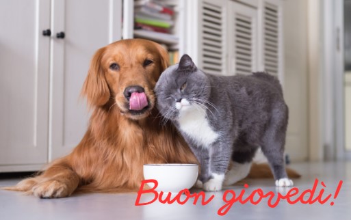 Buongiorno buon giovedì 5 settembre 2024: frasi e immagini gratis da inviare via WhatsApp