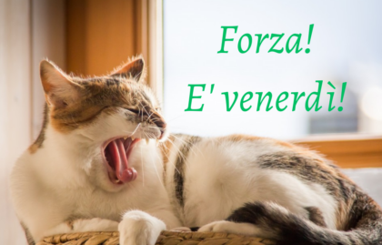 Buongiorno buon venerdì 20 settembre 2024: frasi e immagini gratis da inviare via WhatsApp