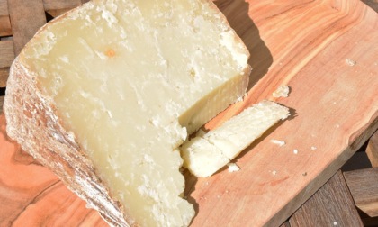 Listeria nel pecorino: quali sono i prodotti richiamati