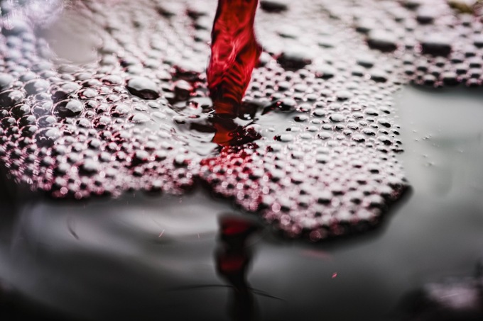 Vino in Italia, si registra un calo di vendite nel 2024