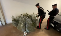 Dalla casa del pensionato venivano strani odori. Per forza, c'erano 20 chili di marijuana...