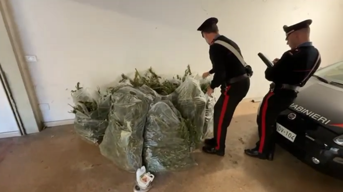 Dalla casa del pensionato venivano strani odori. Per forza, c’erano 20 chili di marijuana…