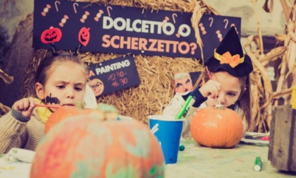 Cosa fare ad Halloween in Piemonte: gli eventi di giovedì 31 ottobre 2024