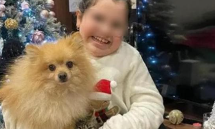 "Siamo ladri onesti": restituiscono cagnolino alla sua padroncina disabile dopo il furto nell'appartamento