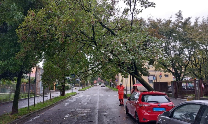 Maltempo: crolla un albero in strada e sta per centrare un’ambulanza in transito. “Salvata” da un’auto in sosta