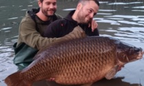 In Lombardia pescata la carpa più grande d'Italia, pesa più di 35 chili