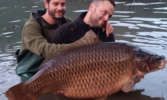 In Lombardia pescata la carpa più grande d’Italia, pesa più di 35 chili