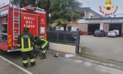 Schiacciato da un tornio in officina, muore 88enne. Un 86enne travolto e ucciso dal trattore