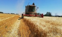 Ancora incidenti nei campi: un agricoltore schiacciato dal trattore, un altro incastrato nella mietitrebbiatrice