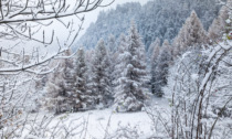 Prima neve (anche a 1000 metri) in Piemonte e Valle d'Aosta, le foto