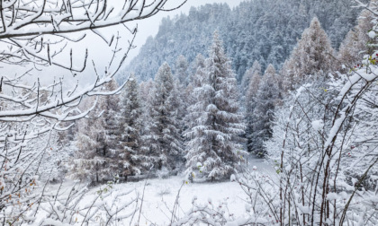 Prima neve (anche a 1000 metri) in Piemonte e Valle d'Aosta, le foto