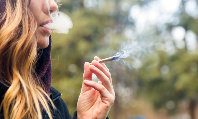 Cannabis light, FdI fa marcia indietro: emendamento ritirato e settore ancora nel limbo