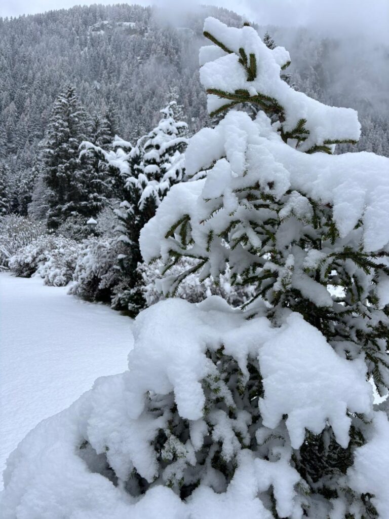 Neve-Champoluc-768x1024